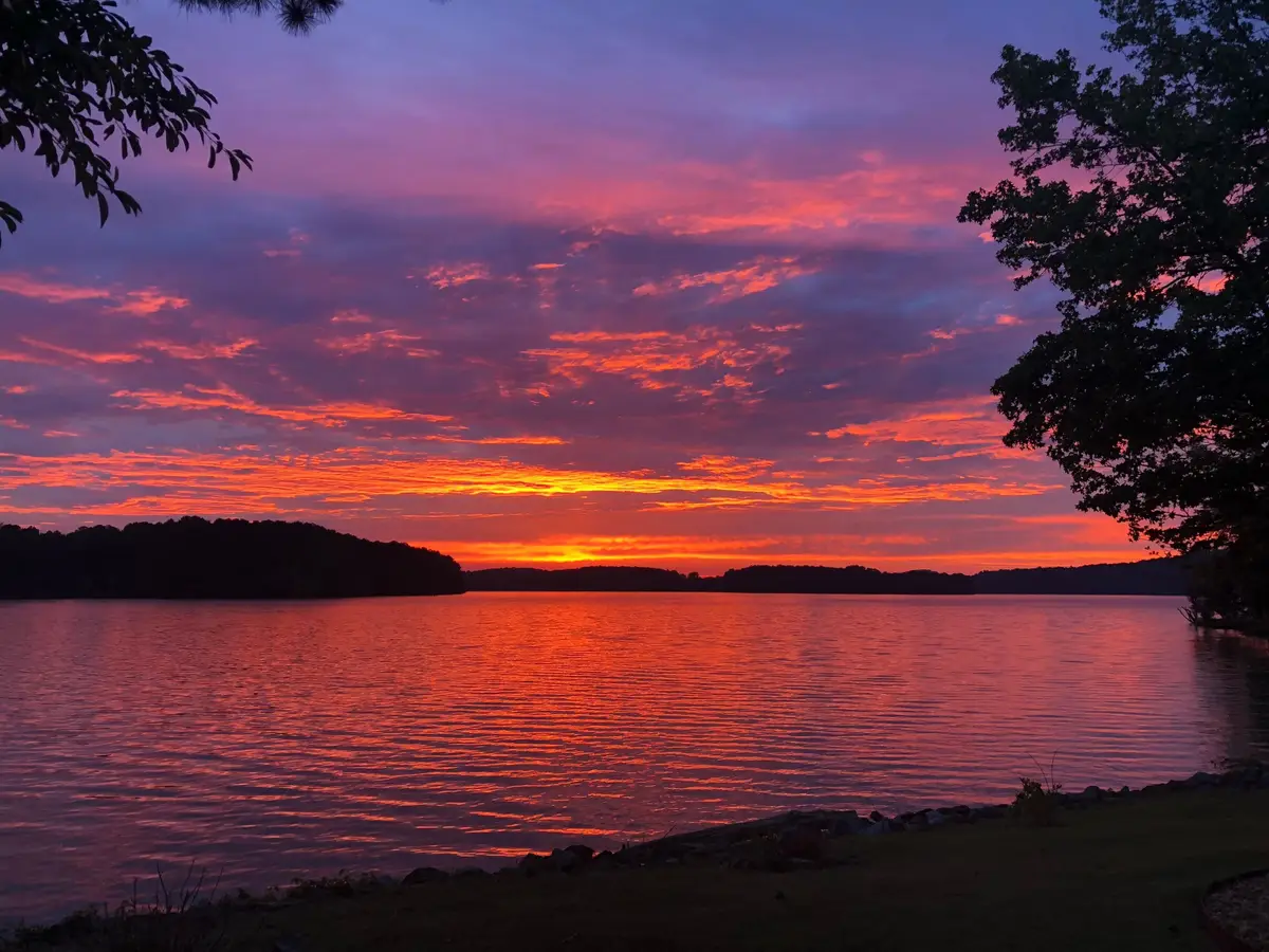 01 Lakefront Dr, Russellville, AL 35653 - #1