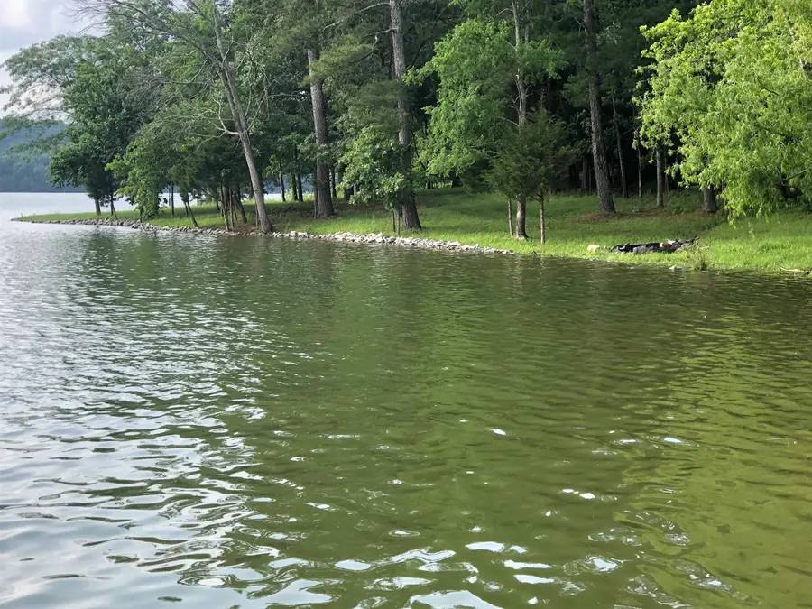 01 Lakefront Dr, Russellville, AL 35653 - #2