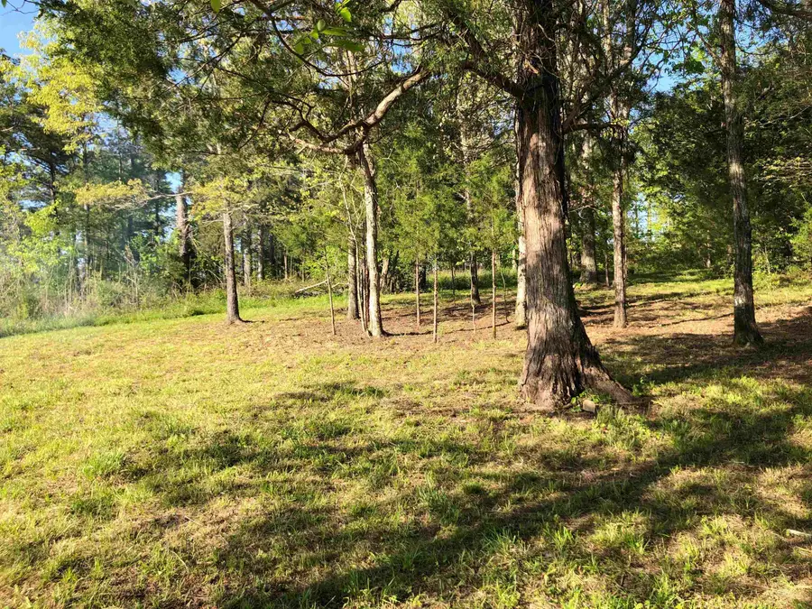 01 Lakefront Dr, Russellville, AL 35653 - #3