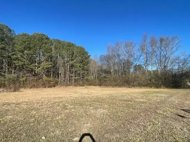 0 Summer Tree Way #Lot 2, Arab, AL 35016 - #2