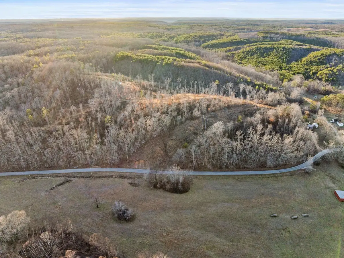 3120 Co Rd 14, Waterloo, AL 35677 - #1