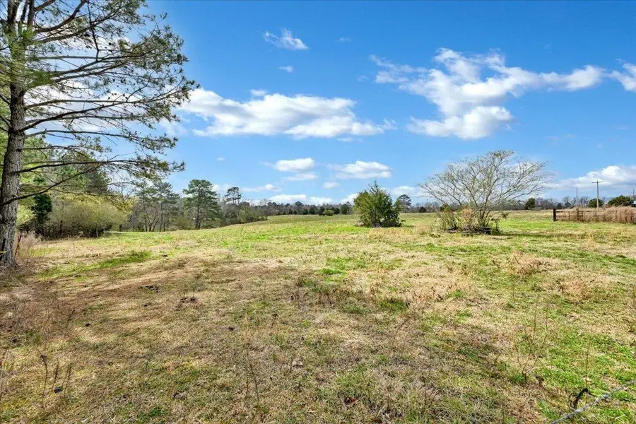 TBD Co Rd 56, Houston, AL 35572 - #2