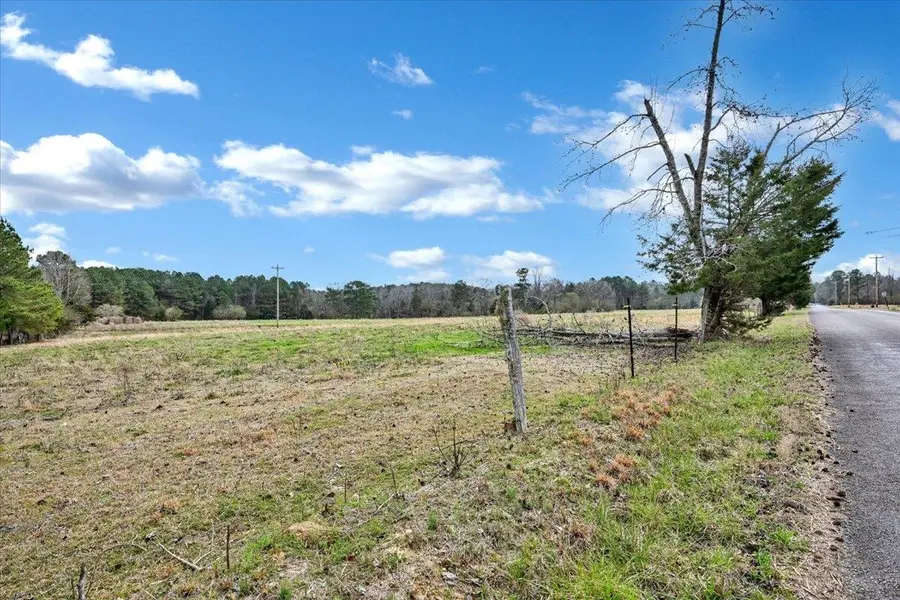 TBD Co Rd 56, Houston, AL 35572 - #3