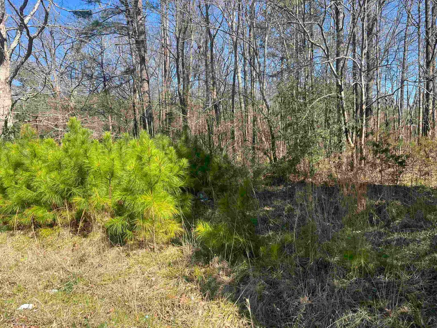 0 Union Rd #Tract C, Somerville, AL 35670 - #3