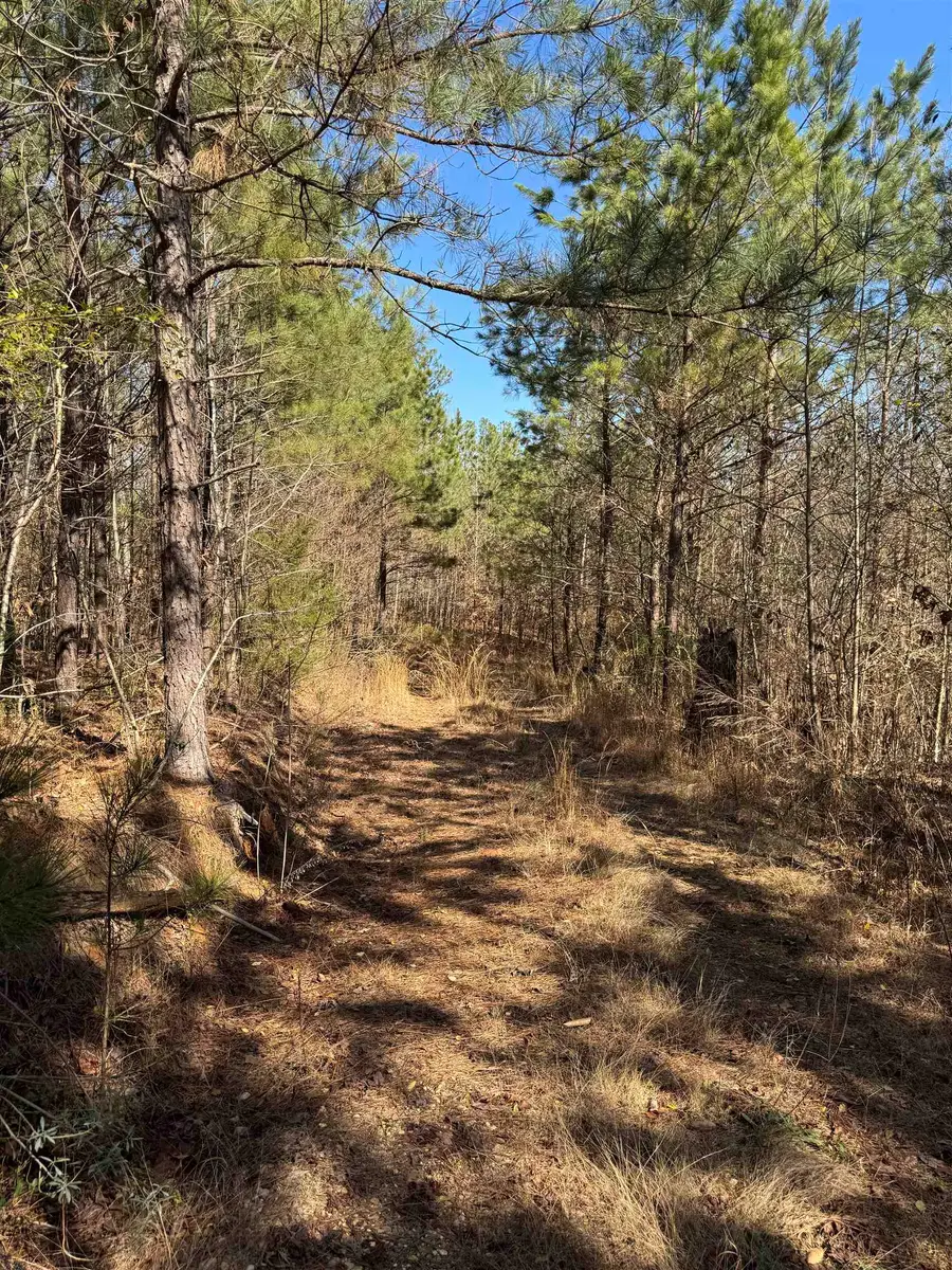 00 Hwy 21, Russellville, AL 35653 - #3