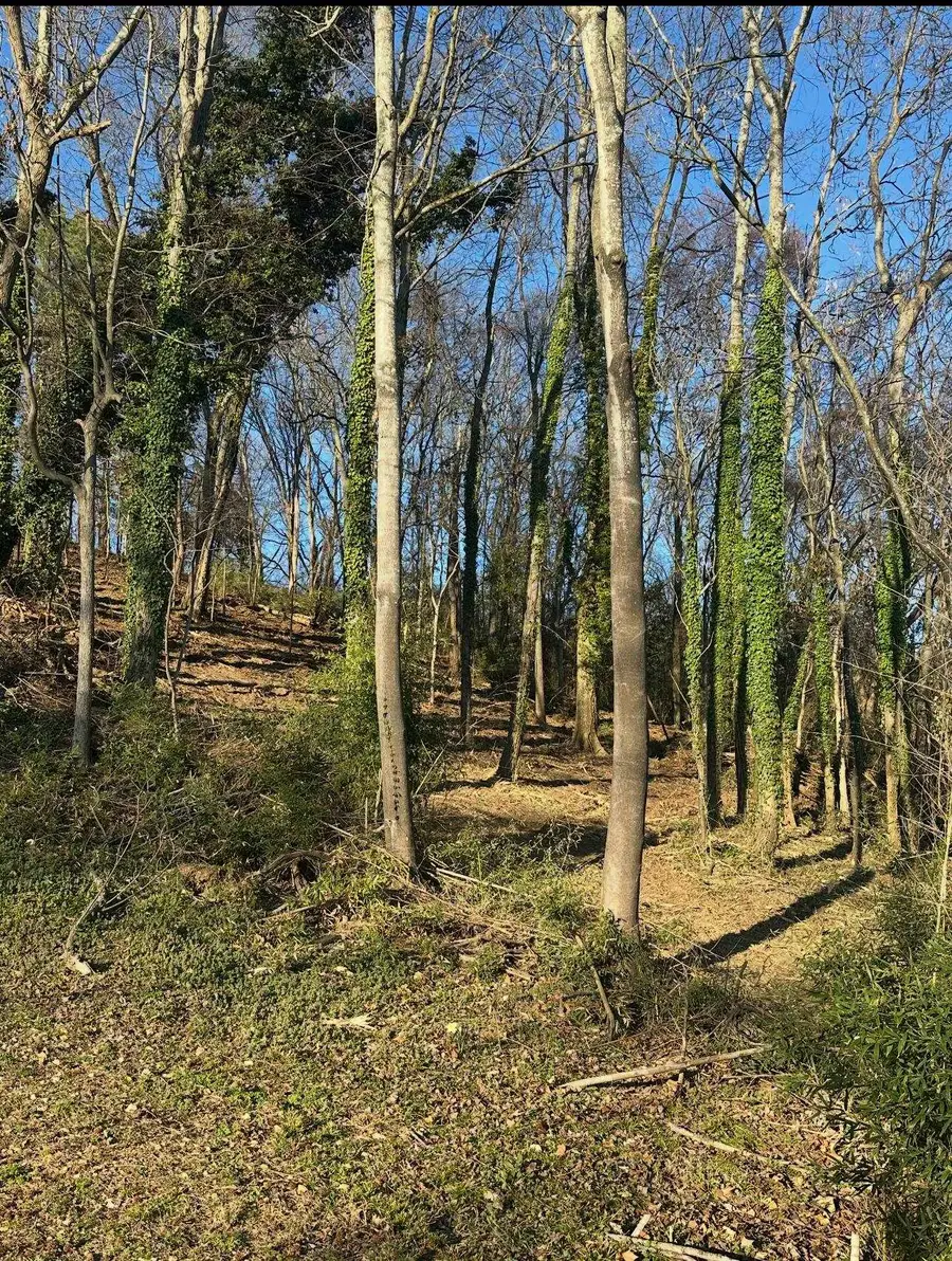 0 Co Rd 413, Killen, AL 35645 - #2