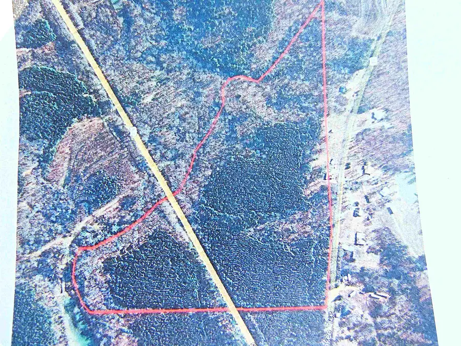 9000 Hwy 278, Haleyville, AL 35565 - #2