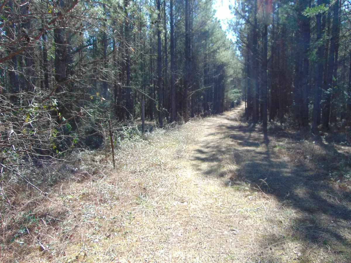 9655 Co Rd 2, Double Springs, AL 35553 - #1