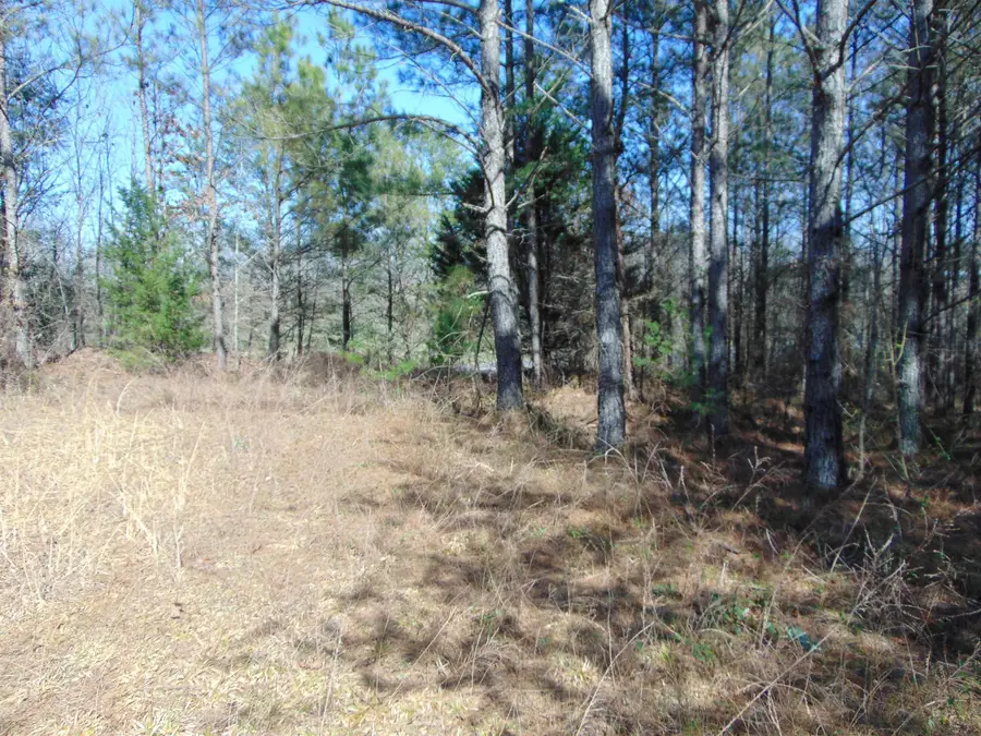 9655 Co Rd 2, Double Springs, AL 35553 - #2