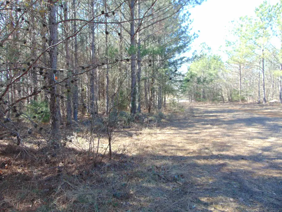 9655 Co Rd 2, Double Springs, AL 35553 - #3