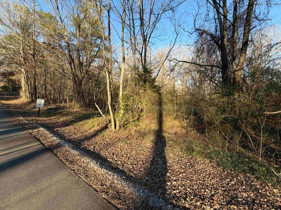 00 Signor Dr, Russellville, AL 35653 - #2