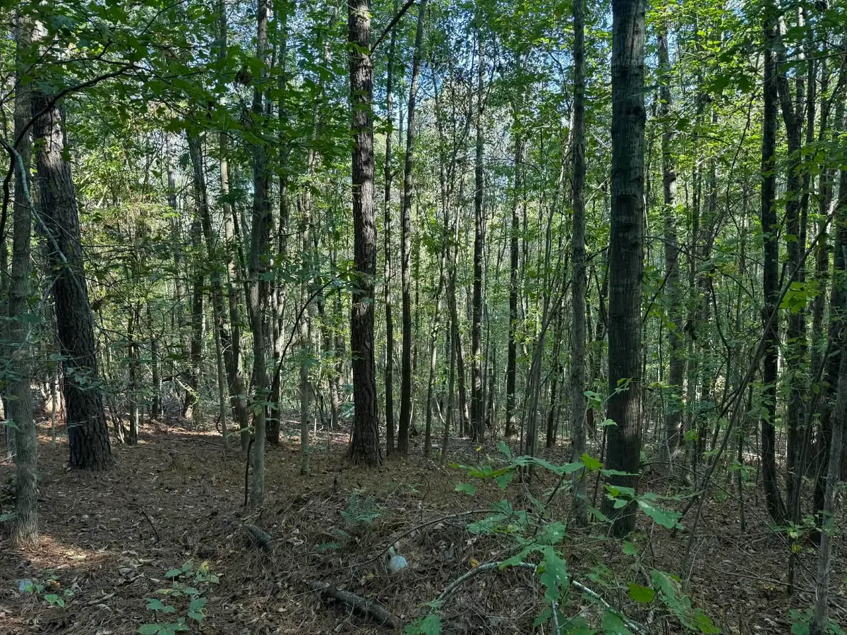 1028 Goddard Rd, Bear Creek, AL 35543 - #1