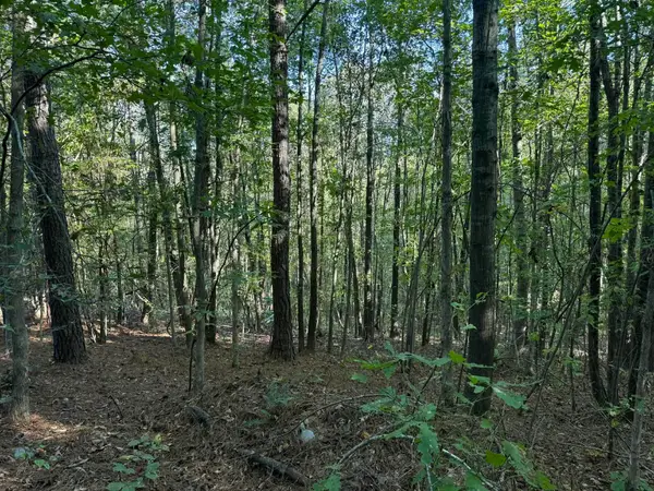 1028 Goddard Rd, Bear Creek, AL 35543