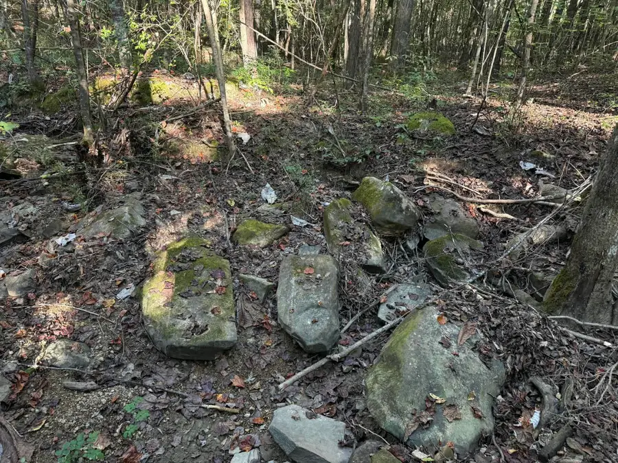 1028 Goddard Rd, Bear Creek, AL 35543 - #2