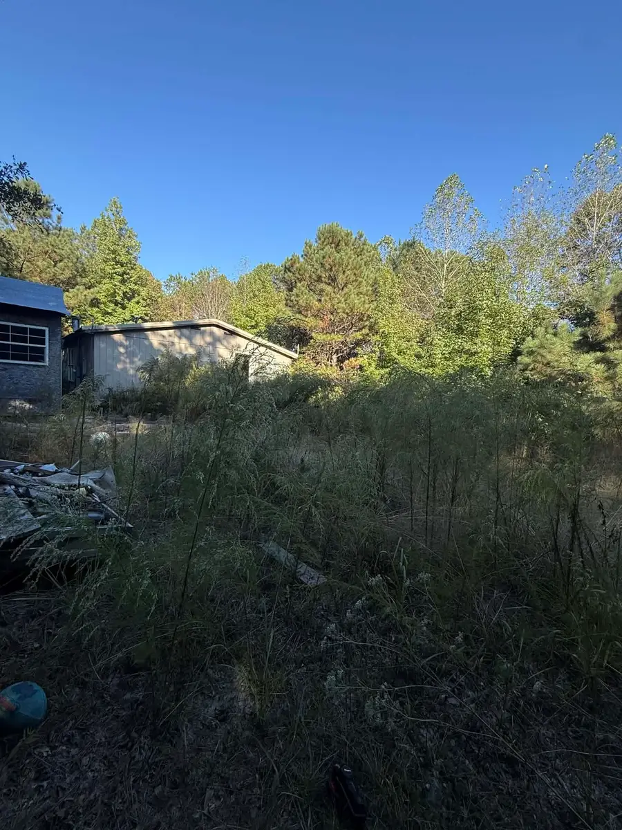 1028 Goddard Rd, Bear Creek, AL 35543 - #3