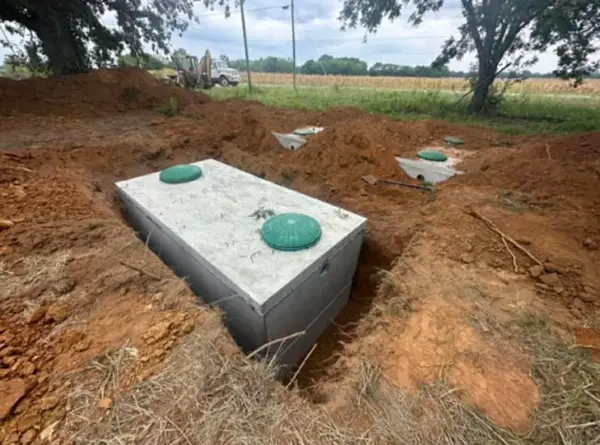 274 Duncan Ln, Leighton, AL 35646