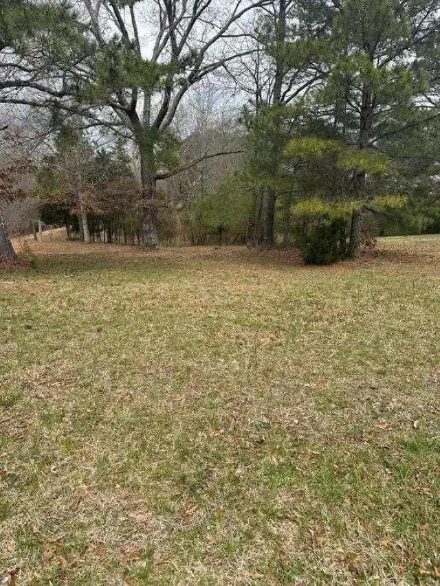 318 Cox Rd, Killen, AL 35645 - #3