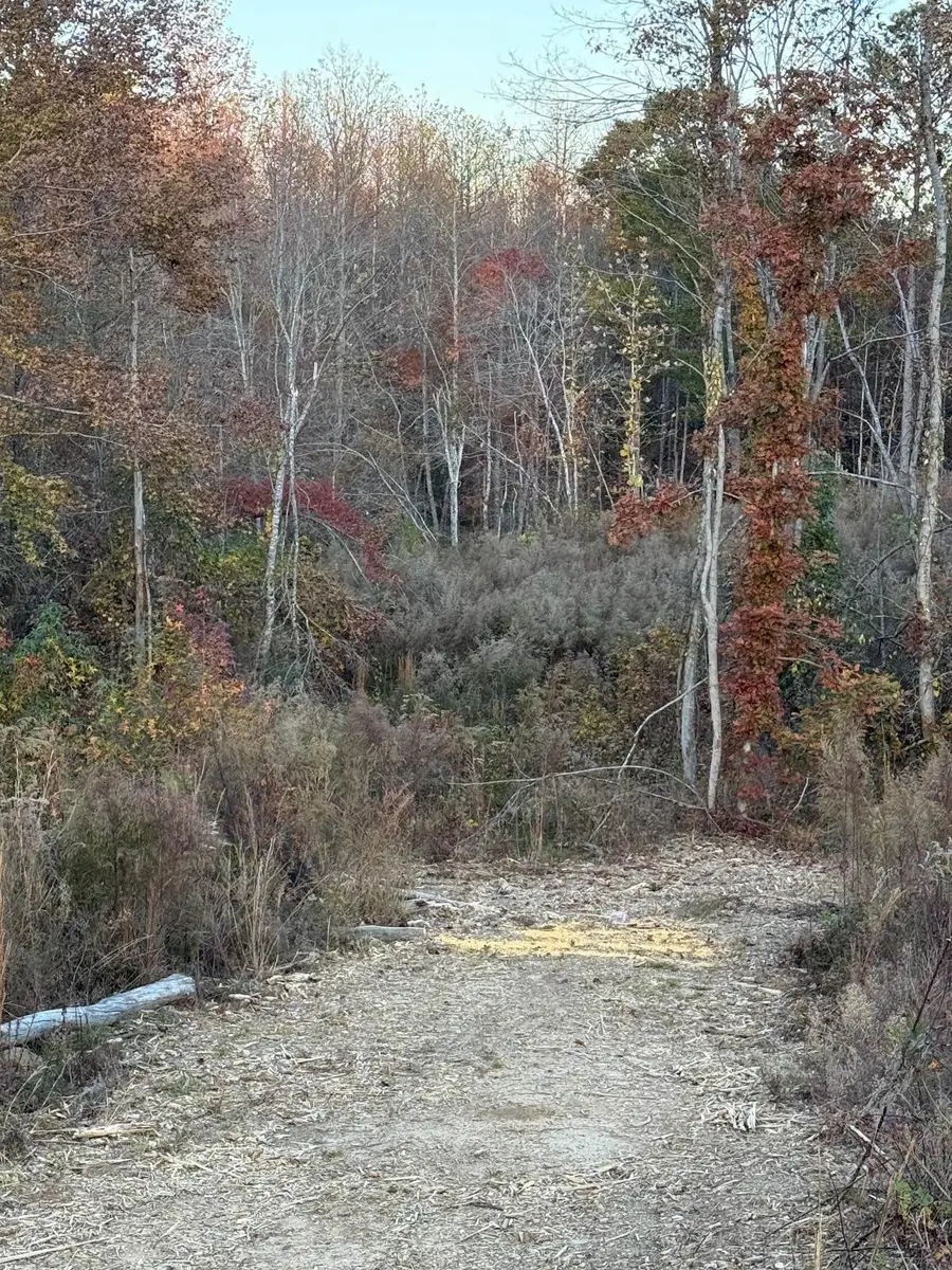 0 Co Rd 75, Hamilton, AL 35570 - #2