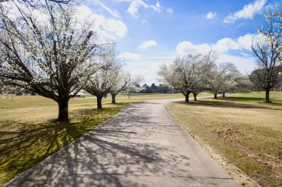 3510 Colburn Mill Rd, Russellville, AL 35653 - #3