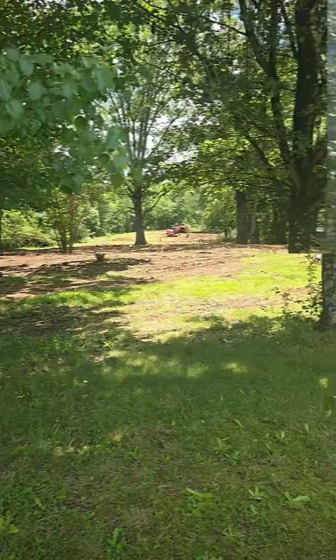 6208 Co Rd 8, Waterloo, AL 35677 - #1