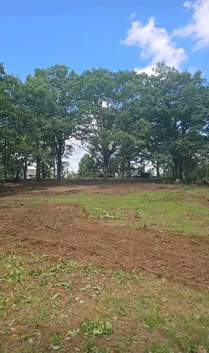 6208 Co Rd 8, Waterloo, AL 35677 - #2