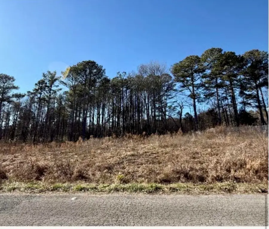 549 Chambers Rd, Arab, AL 35016 - #3