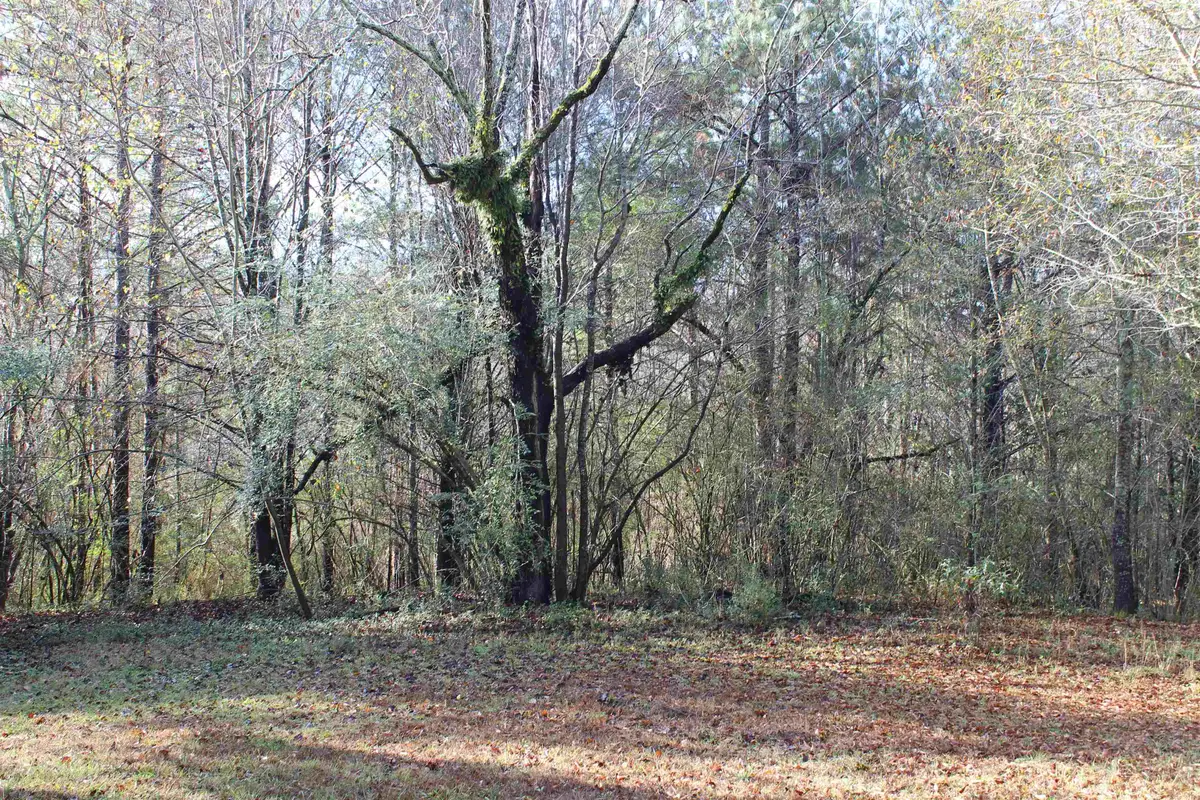 0 Co Rd 46, Addison, AL 35540 - #1