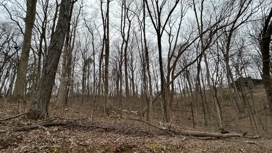 110 Scenic Dr, Russellville, AL 35653 - #2