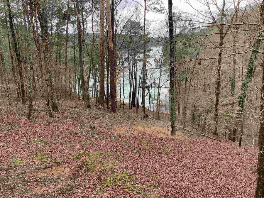 176 Co Rd 250, Houston, AL 35572 - #2