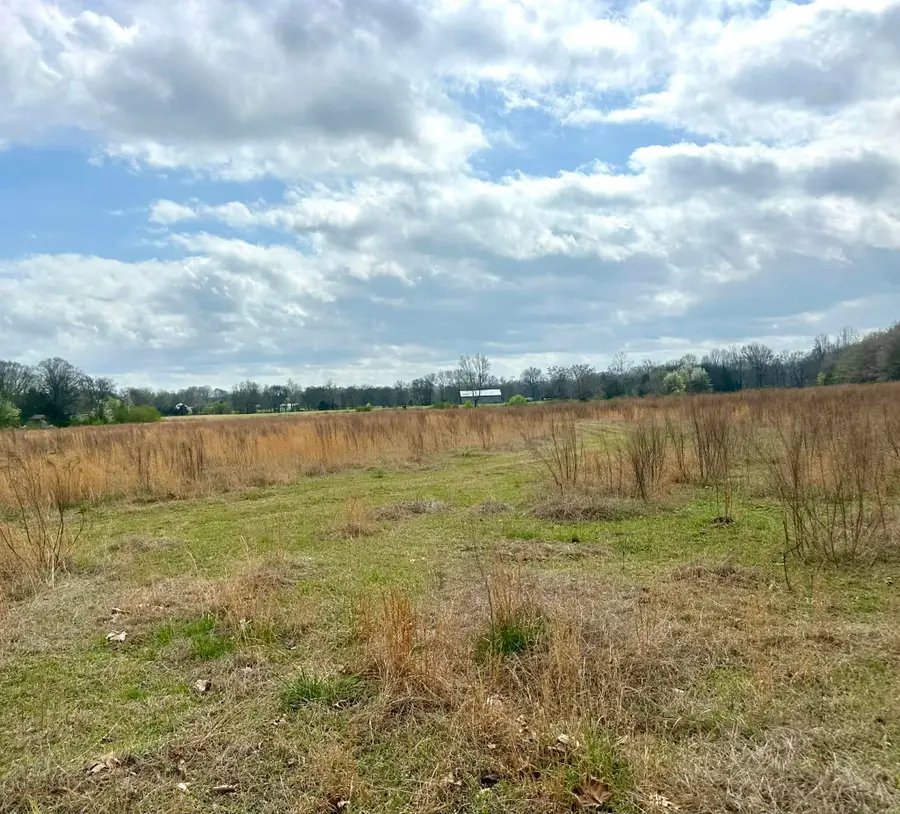 15375 Zehner Rd, Athens, AL 35611 - #2