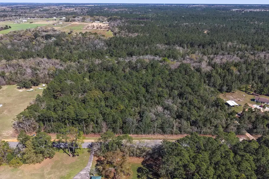 0 Co Rd 83, Elberta, AL 36530 - #2