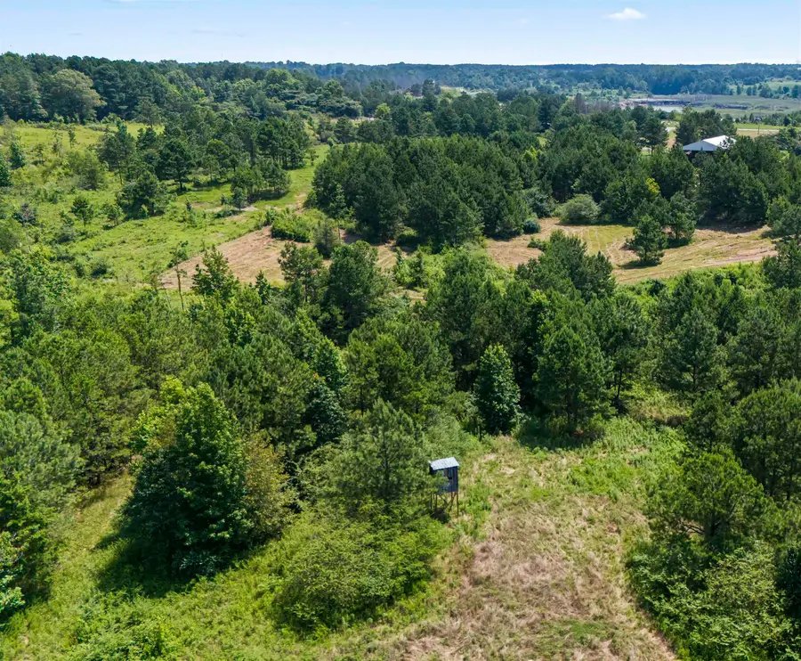 0 Co Rd 8, Hanceville, AL 35077 - #2