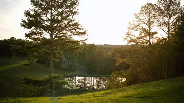 5871 Hwy 278, Haleyville, AL 35565