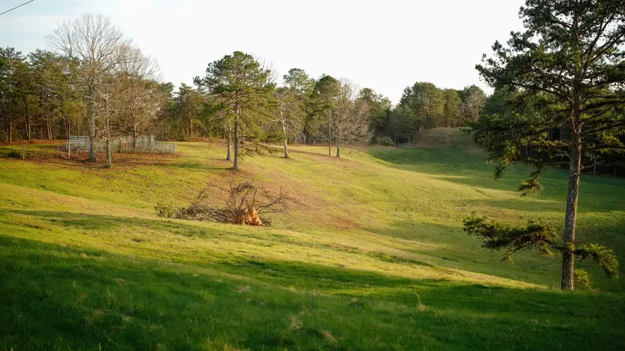 5871 Hwy 278, Haleyville, AL 35565 - #3