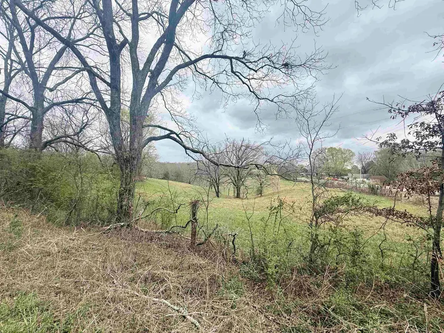 00 Hawk Pride Mountain Rd, Tuscumbia, AL 35674 - #2