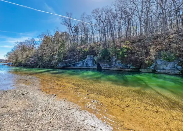 0 Co Rd 113, Rogersville, AL 35652