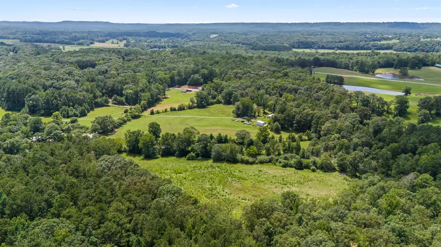 00 Co Rd 501, Hanceville, AL 35077 - #3