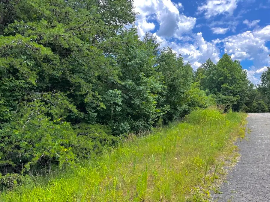 60 +/- Acres Co Rd 298, Florence, AL 35634 - #2