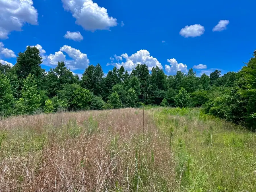 60 +/- Acres Co Rd 298, Florence, AL 35634 - #3