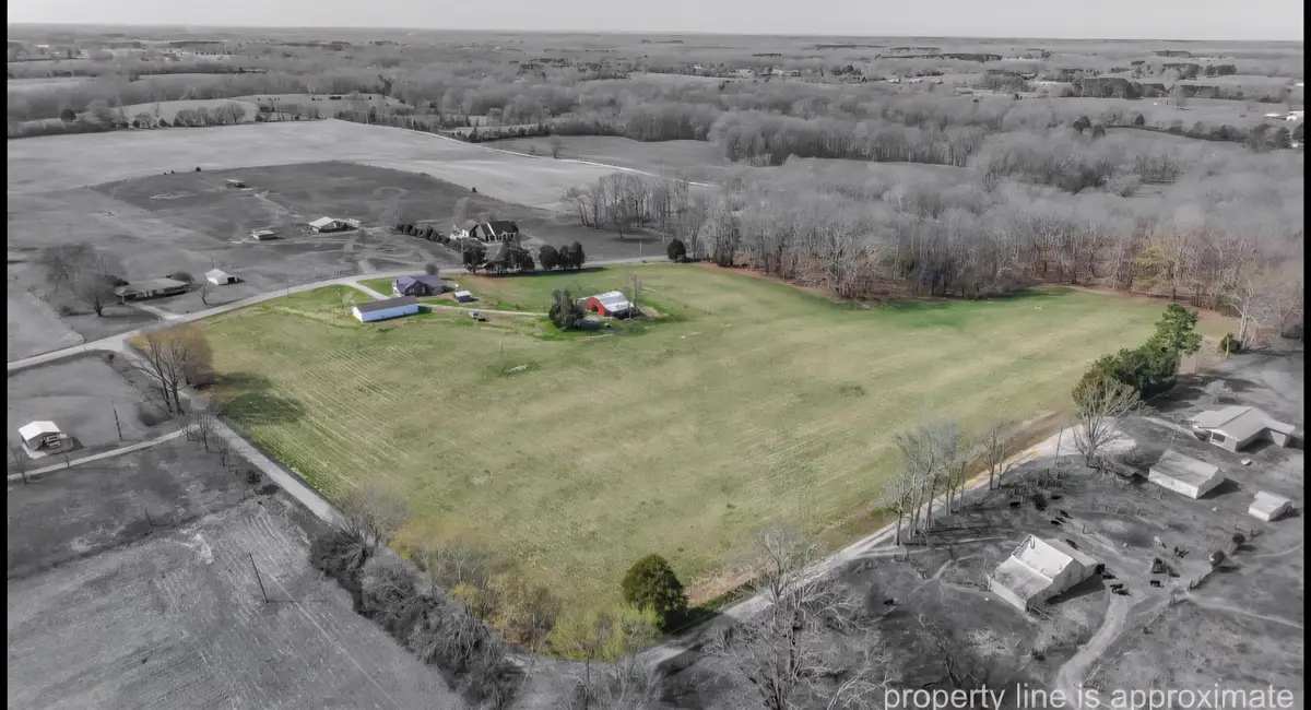 1436 Co Rd 104, Lexington, AL 35648 - #1