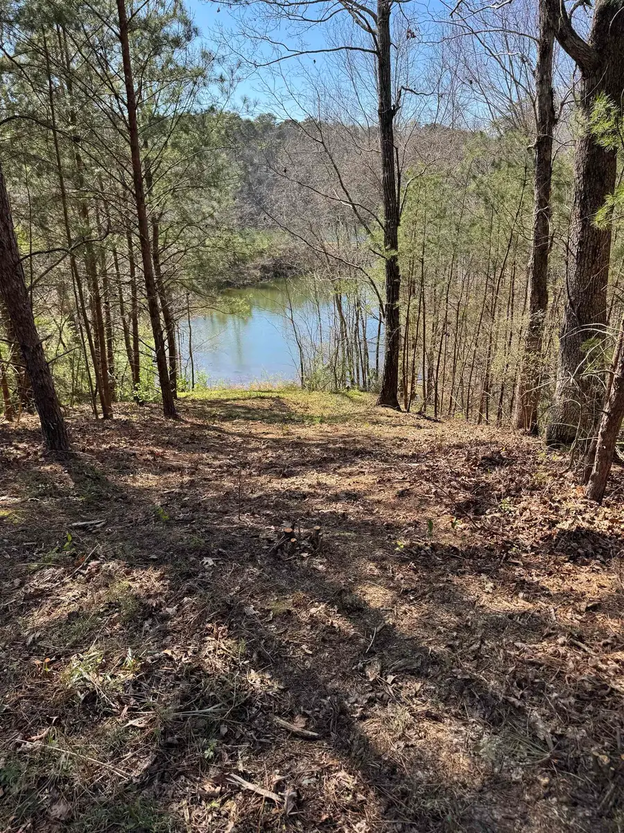 130 Co Rd 261, Cullman, AL 35057 - #2