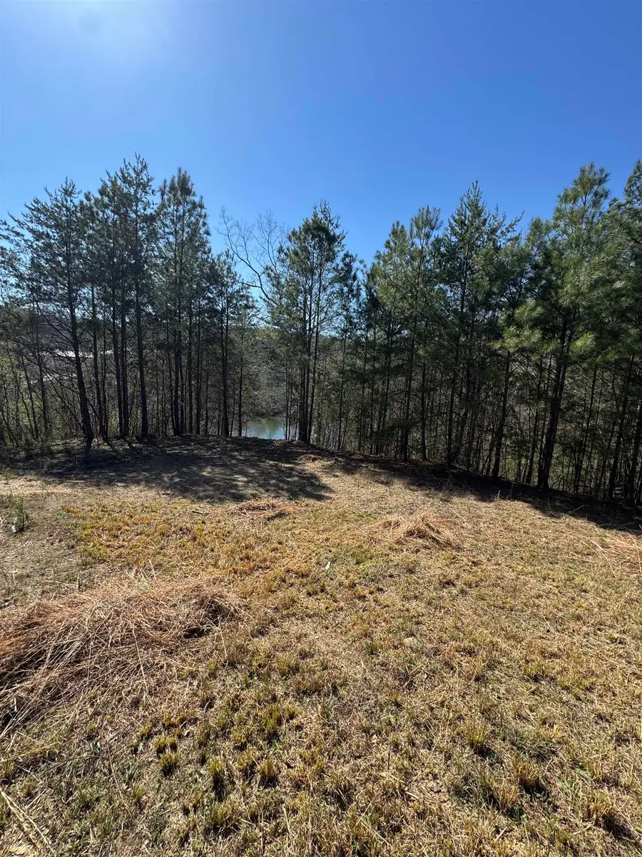 130 Co Rd 261, Cullman, AL 35057 - #3