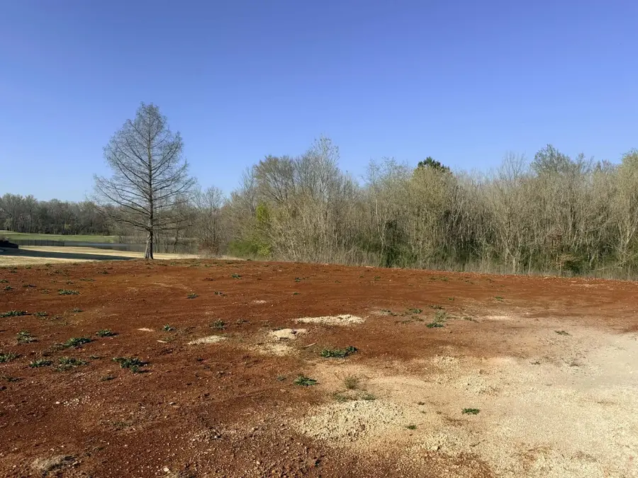 24044 Piney Creek Dr, Athens, AL 35613 - #3