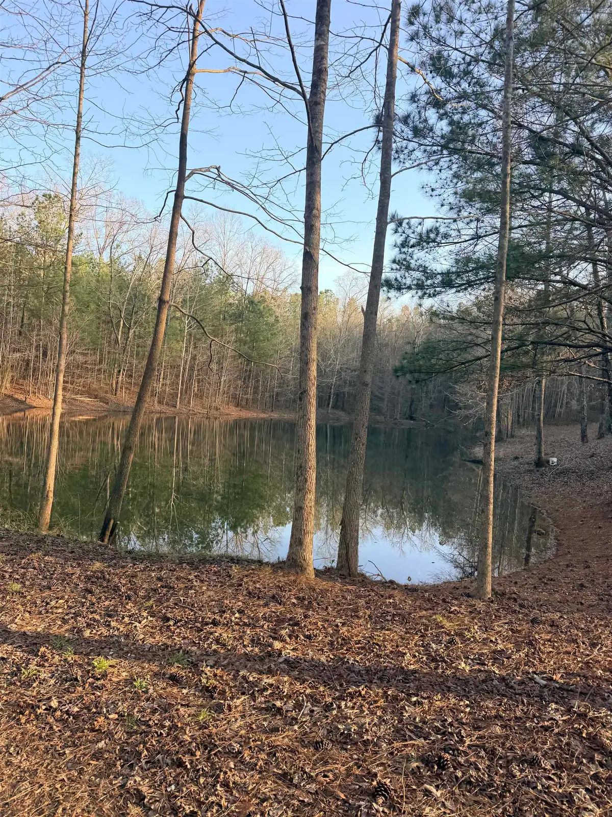 5416 S County Hwy 122, Hamilton, AL 35570 - #1