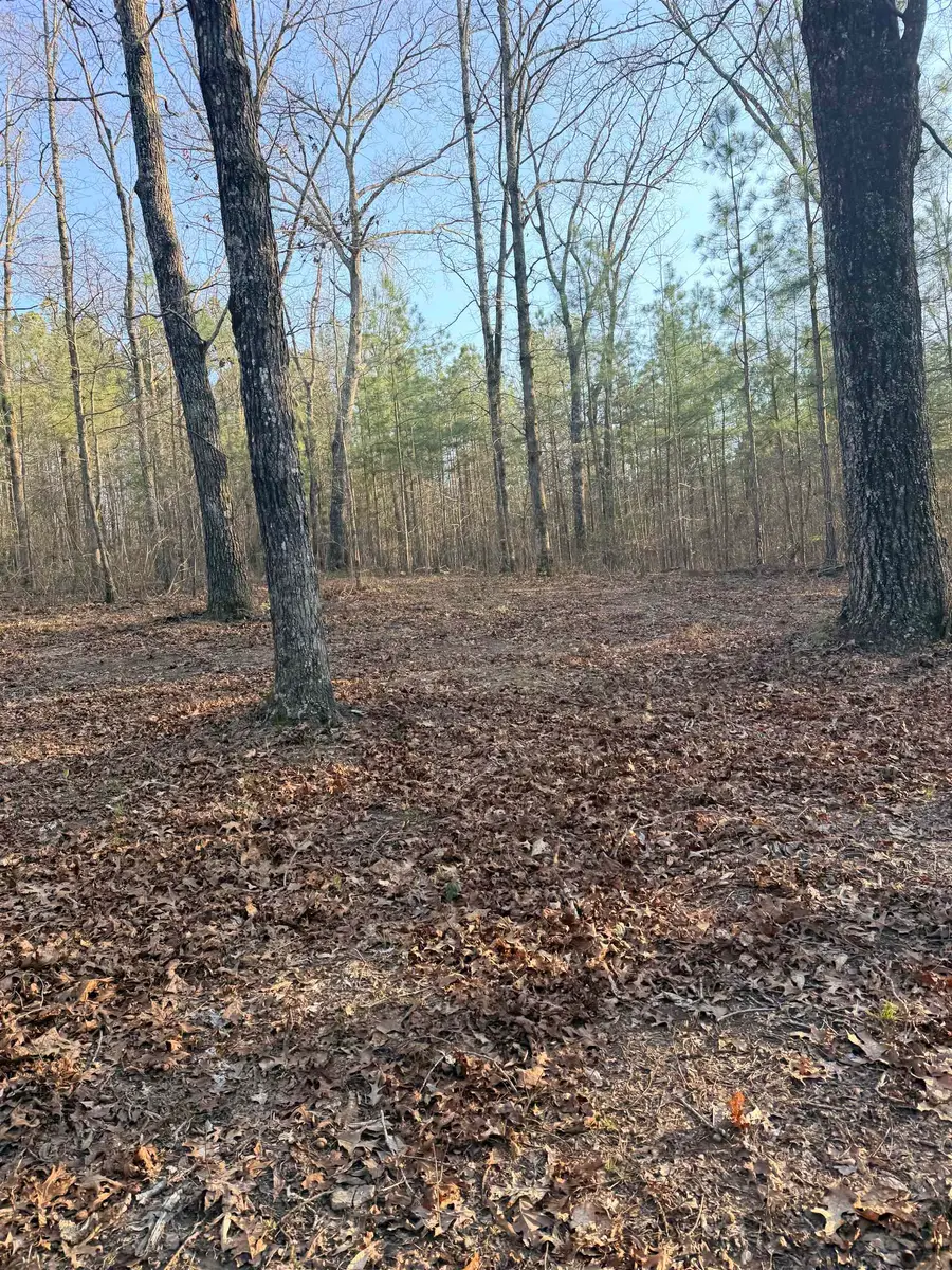 5416 S County Hwy 122, Hamilton, AL 35570 - #3