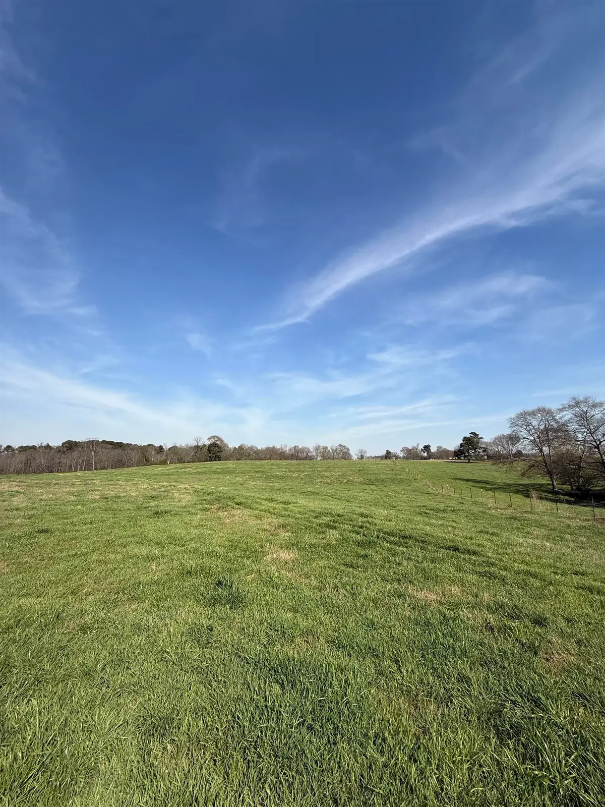 0 Co Rd 798, Cullman, AL 35055 - #1