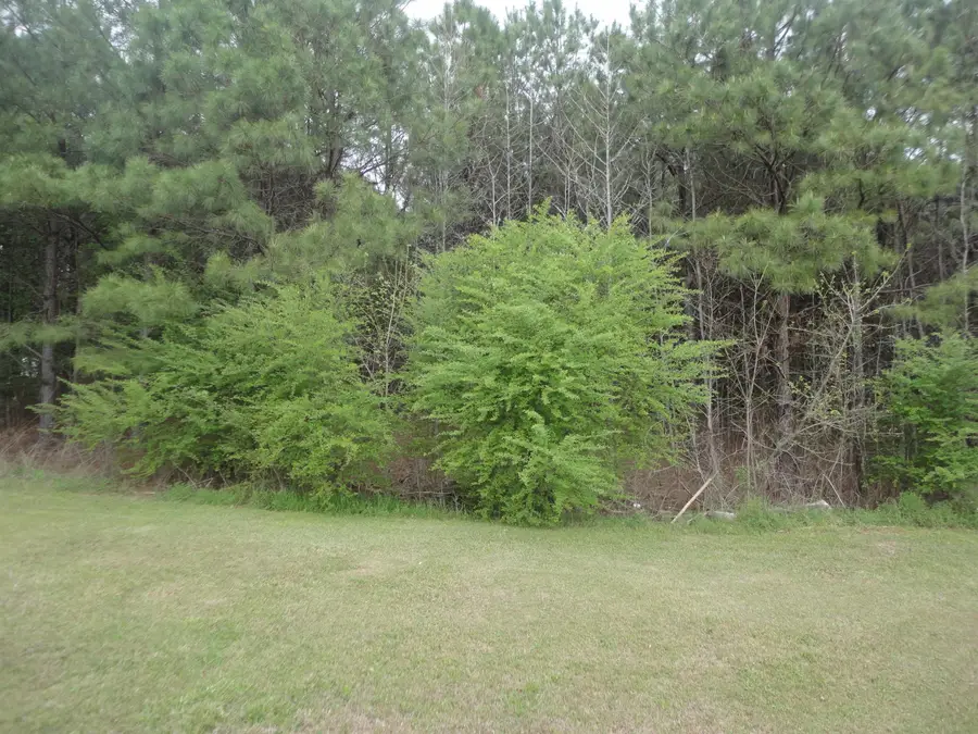 0 3rd St, Hanceville, AL 35077 - #2