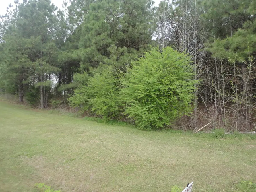 0 3rd St, Hanceville, AL 35077 - #3