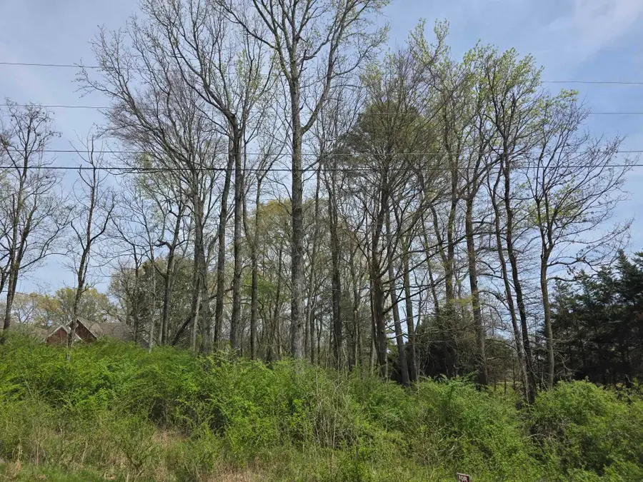 Lot 25 Davis Dr, Tuscumbia, AL 35674 - #2