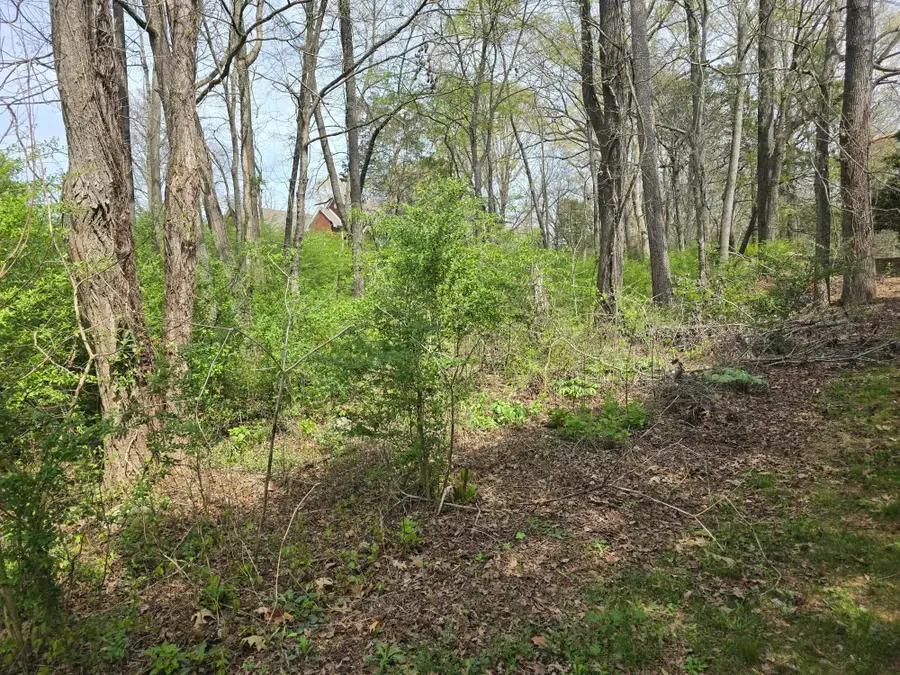 Lot 25 Davis Dr, Tuscumbia, AL 35674 - #3